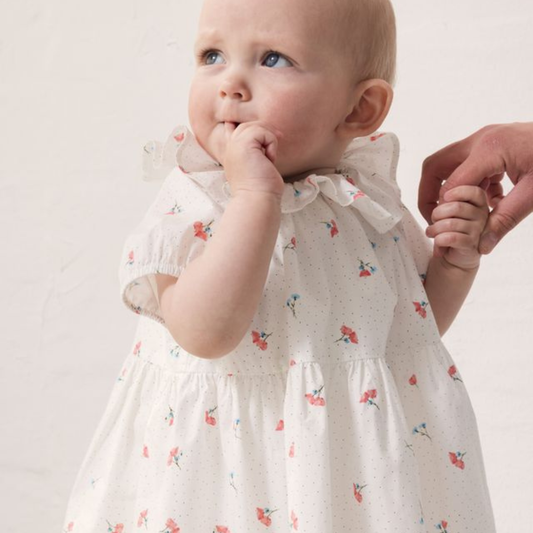 Danilo Dress | Poppy